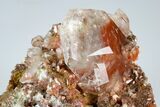 Calcite Crystal Cluster with Hematite Inclusions - Fluorescent! #185700-1